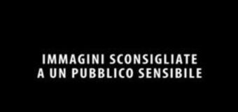 Si fa un selfie e cade dal 27mo piano: l'agghiacciante incidente di una ragazza