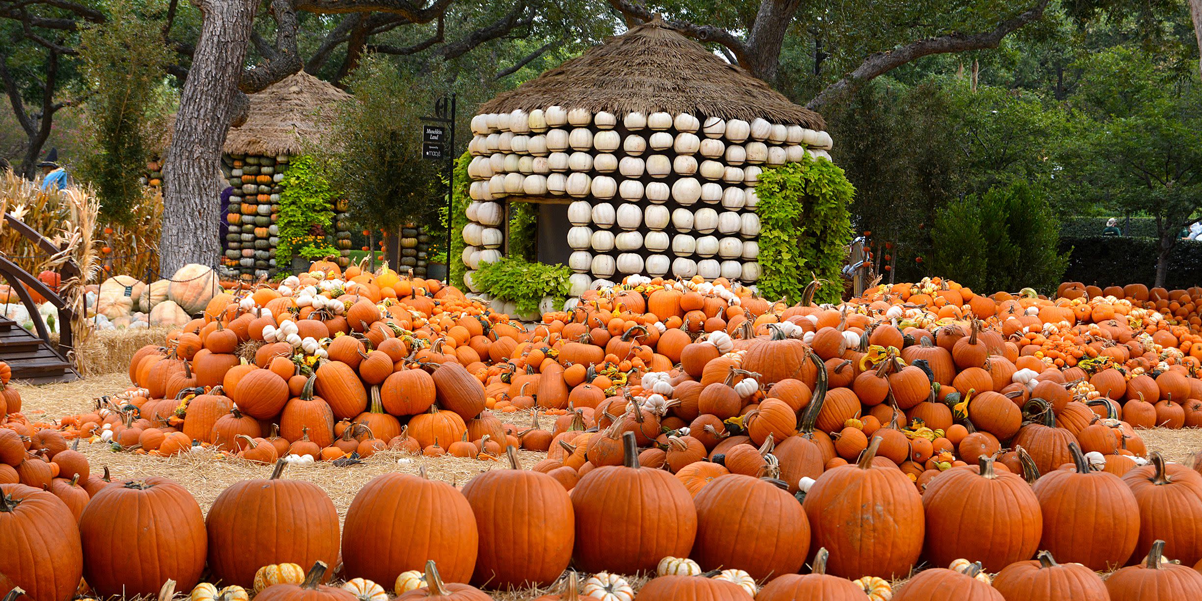 25 of the Best Fall Festivals to Celebrate the Season