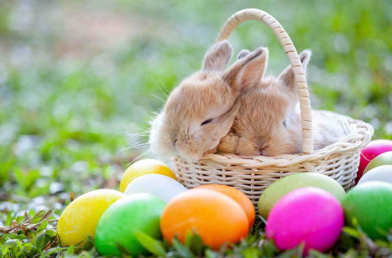 Is The Stock Market Closed For Good Friday And Easter 2019