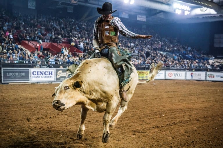 The Longest Eight Seconds Riding A Bull In Texas