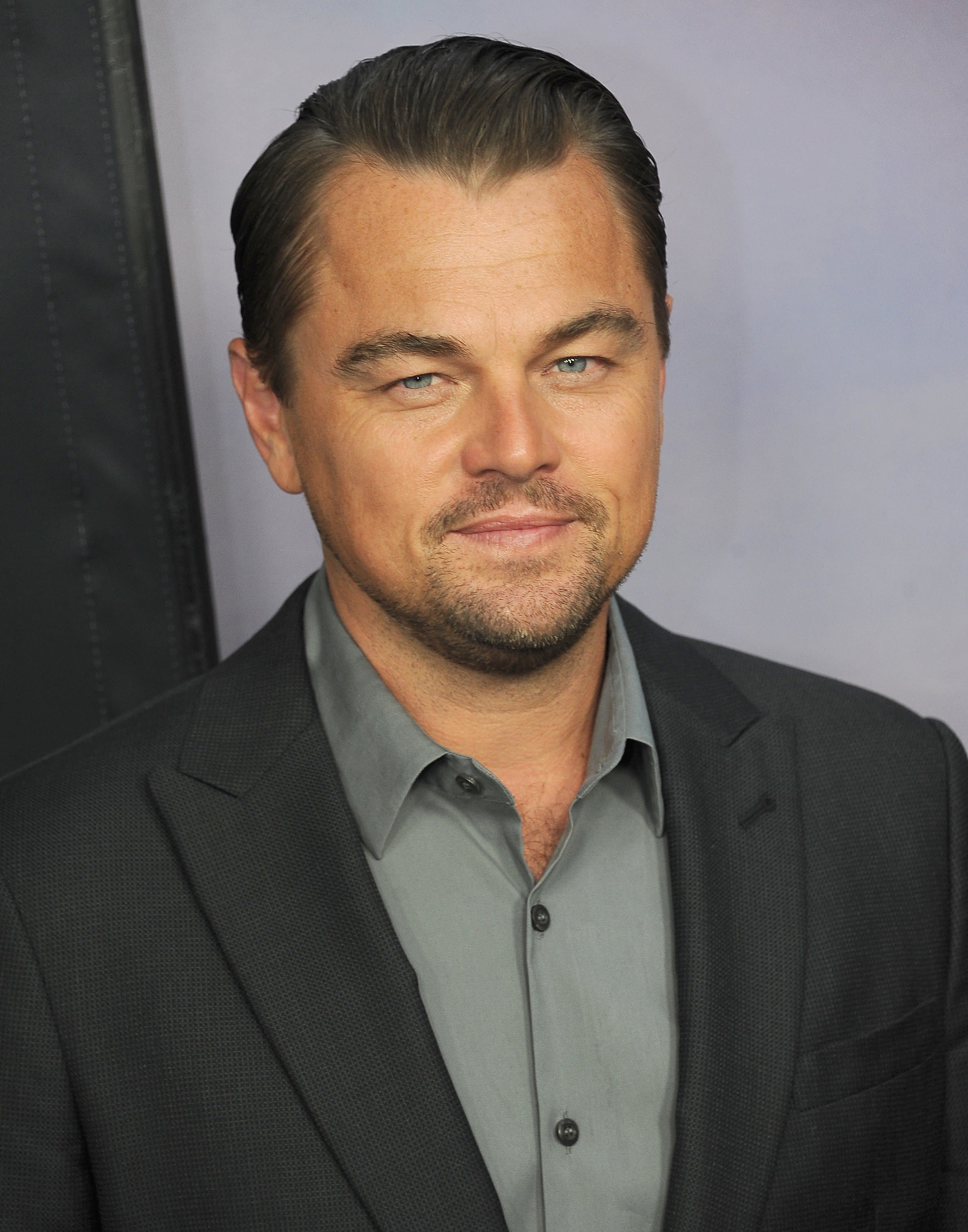 Leonardo DiCaprio Allegedly Had a 2688 x 3420