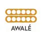 Awale Resources Stock Option Grant