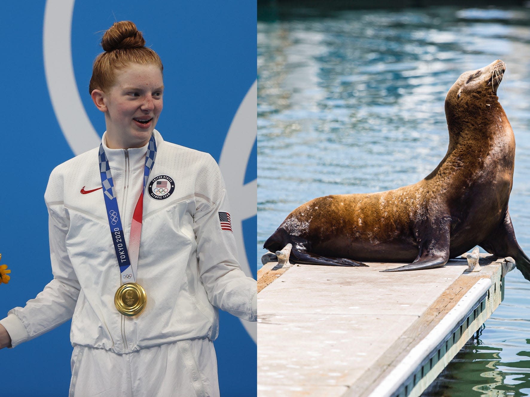 Neighbors of 17-year-old Alaskan swimmer who won a shocking gold medal tell tourists she trains with whales and sea lions