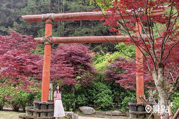 春日也能賞楓 四月深山藏鳥居紅樹林