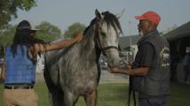 150th Kentucky Derby preview: West Saratoga