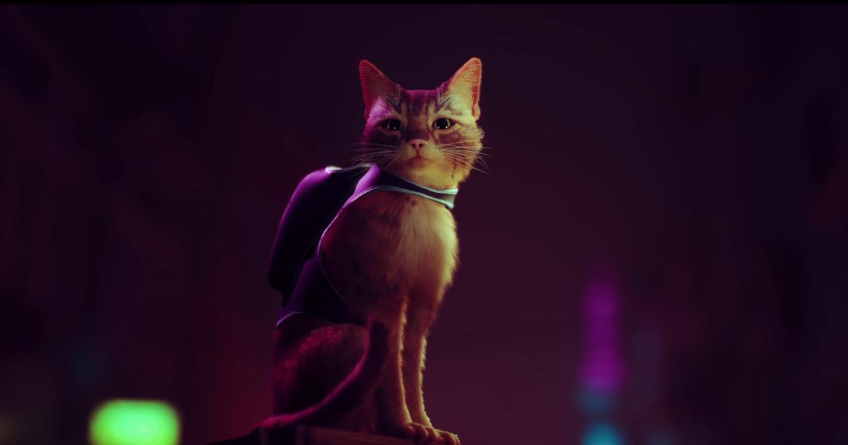 Stray' is a futuristic cat simulator for and PS5 | Engadget