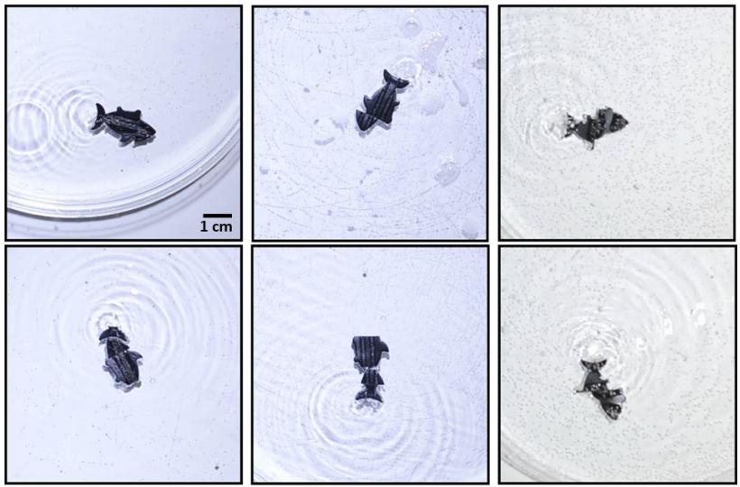 Researchers create a swimming robot that can ‘cure’ itself