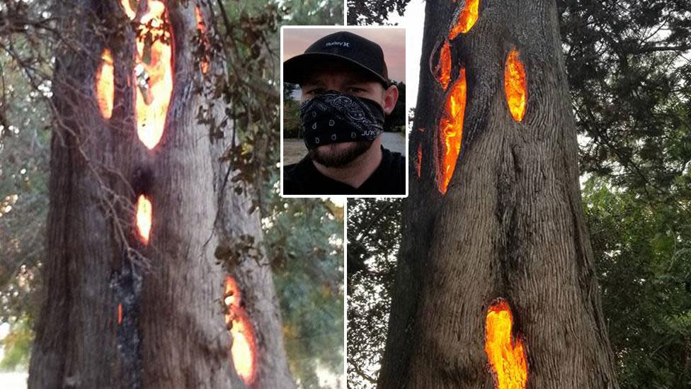 Man Films California Fire Burn Tree From Inside Out 