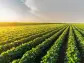 Food Security Shakeup: 3 AgriTech Stocks to Own