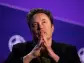 Elon Musk to expand Tesla gigafactory rocked by Left-wing protests