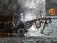 Auric Mining expects $8-10 million from gold sales by end of November