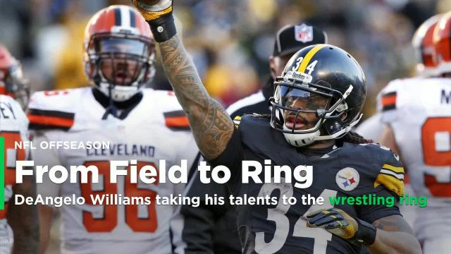 Former Steeler DeAngelo Williams taking his talents to the wrestling ring