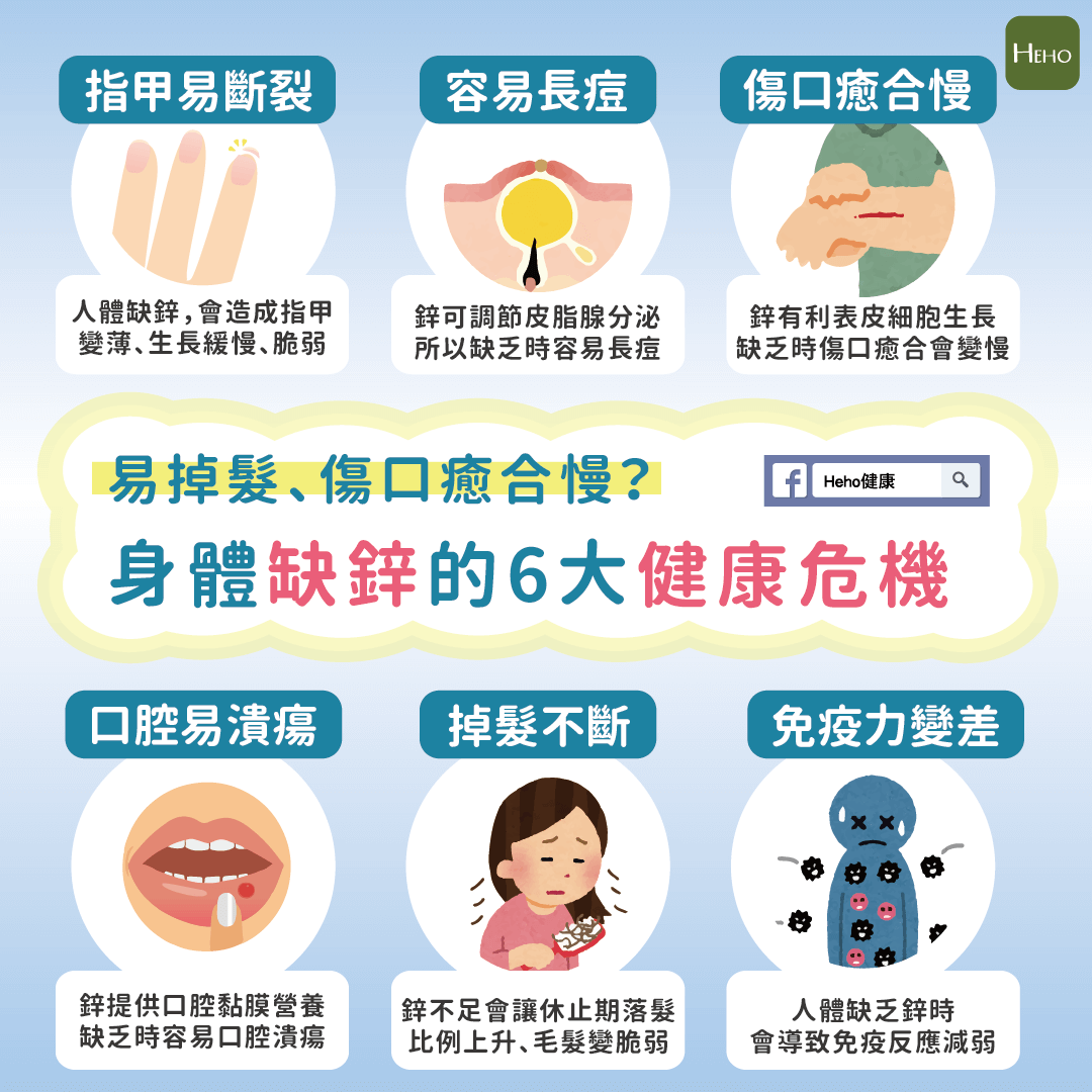 易掉髮 傷口癒合慢 身體缺鋅的６大健康危機