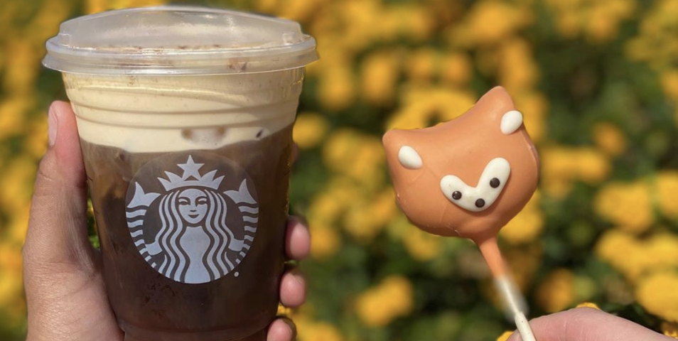 Fox Cake Pops Have Been Spotted At Starbucks And They Re The Cutest Treat Ever