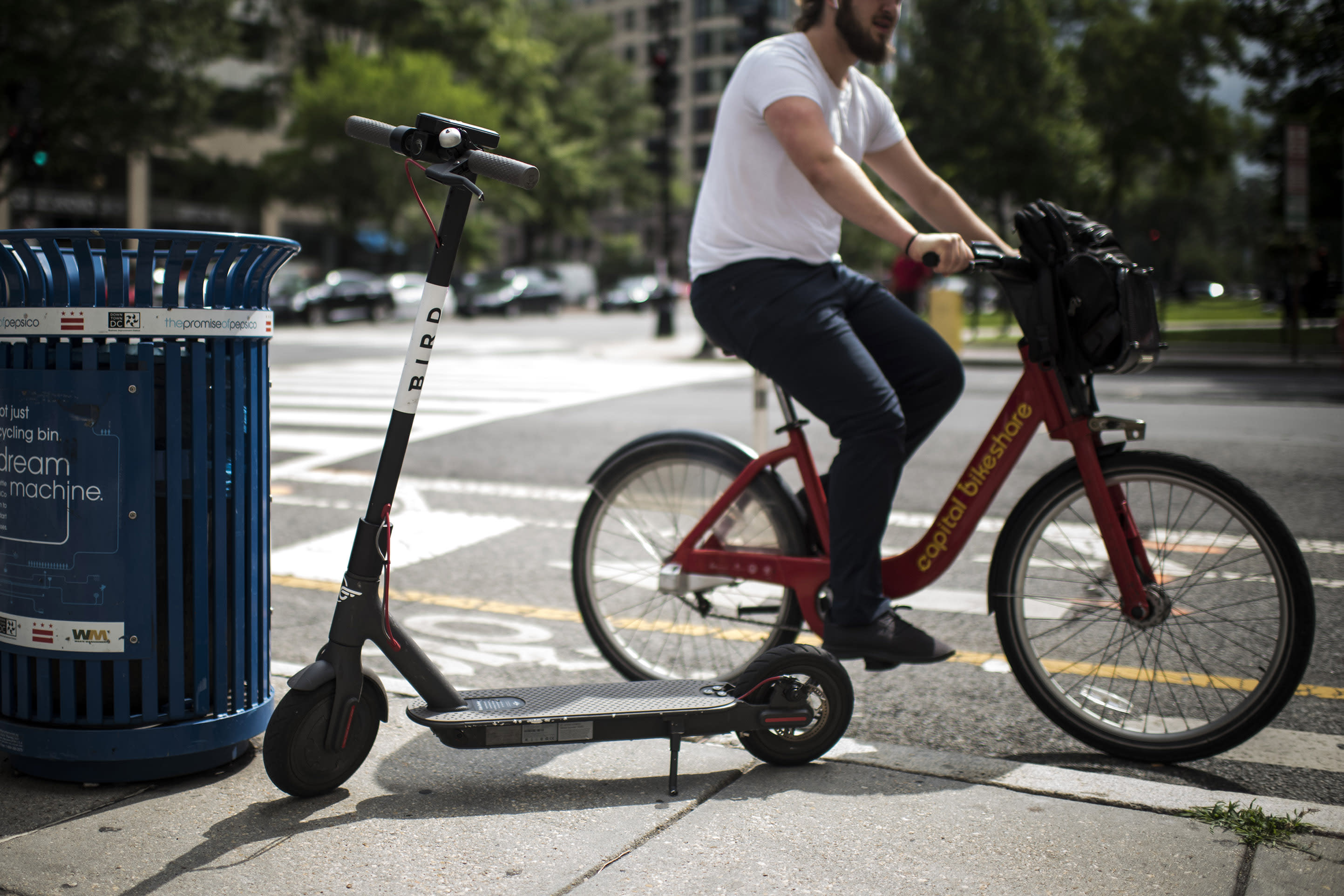 bird bikes