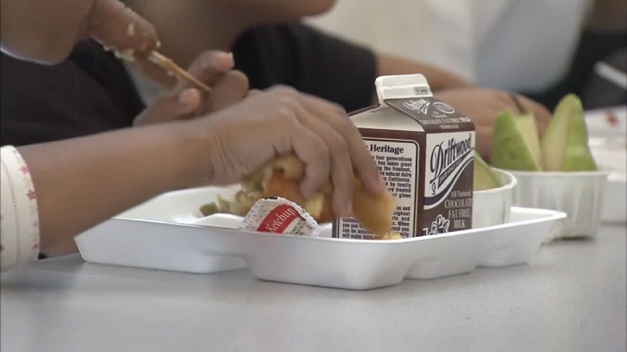 Mum's daycare lunchbox for her for her three-year-old sparks debate among  parents