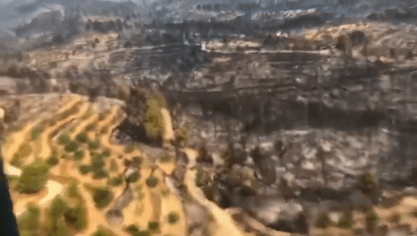 Près de 38 miles carrés brûlés dans un incendie de forêt dans l’est de l’Espagne