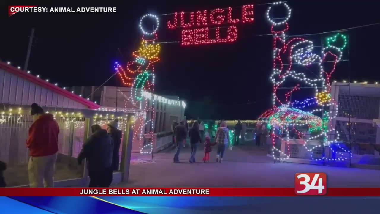 Jungle Bells returns to Animal Adventure