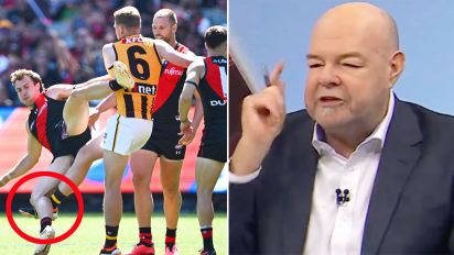 Yahoo Sport Australia - The furious AFL 360 co-host has let rip at the Hawthorn captain. More