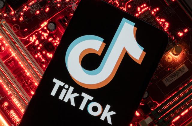 A smartphone with a displayed TikTok logo is placed on a computer motherboard in this illustration taken February 23, 2023. REUTERS/Dado Ruvic/Illustration