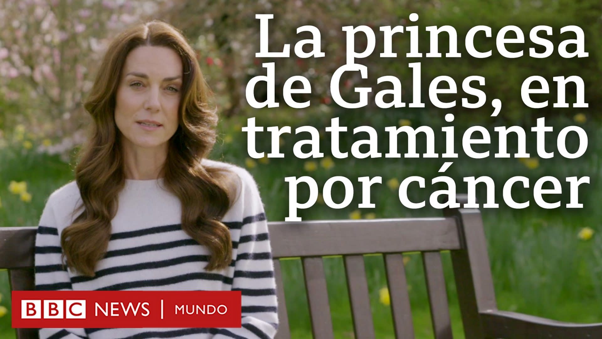 Kate Middleton: la princesa de Gales anuncia que recibe