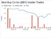 SEVP Enterprise Strategy & CFO Matthew Bilunas Sells Shares of Best Buy Co Inc (BBY)