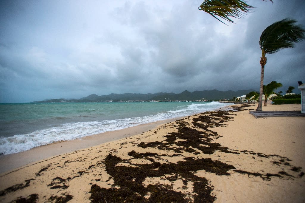 Pro Teen Surfer Dies In Barbados Catching Irma Wave