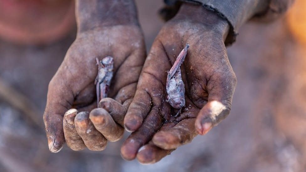 Madagascar on the brink of climate change-induced famine