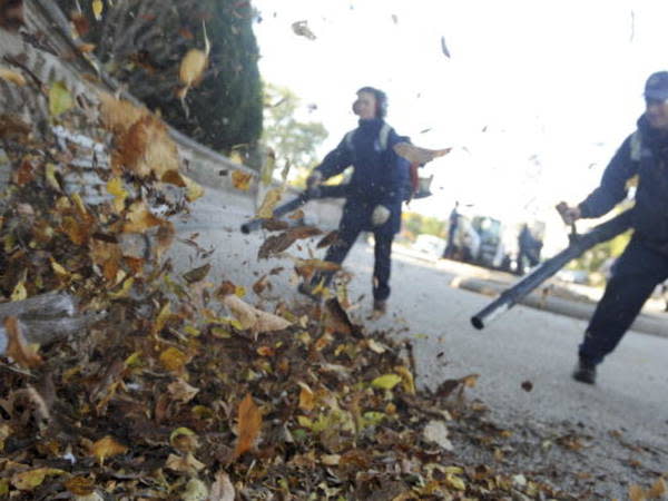 Shovel Porn - Porn Website Offers Free Leaf Removal In Hudson Valley