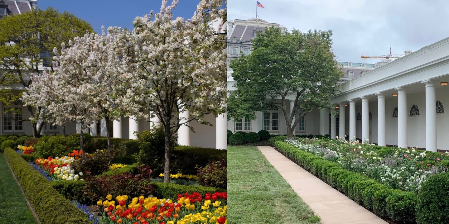 Melania Trump Unveils The Renovated White House Rose Garden