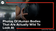 Photos Of Human Bodies That Are Actually Wild To Look At