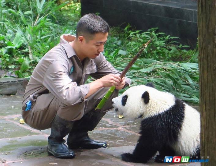 動物園 飼育 員 求人