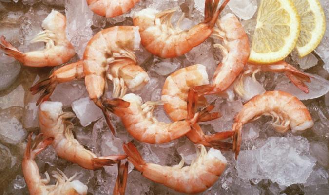 A startup is growing faux shrimp meat in the lab using algae
