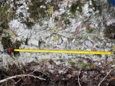 Tearlach Resources Discovers Spodumene on Georgina Properties