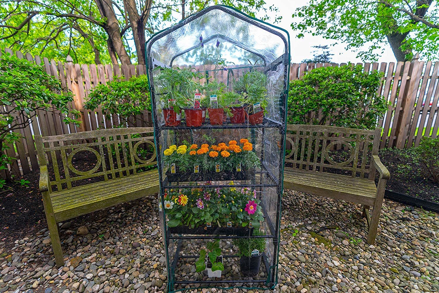 You Can Build Your Own Mini Greenhouse in 20 Minutes With This DIY Kit