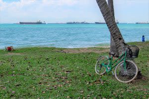 bicycle shop at changi village