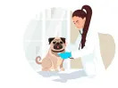 How to pay for vet bills: 4 options