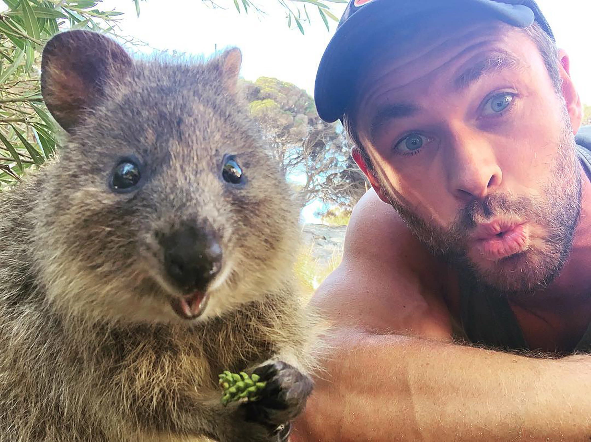 How Selfies with Quokkas on Rottnest Island Are Helping the Quokka