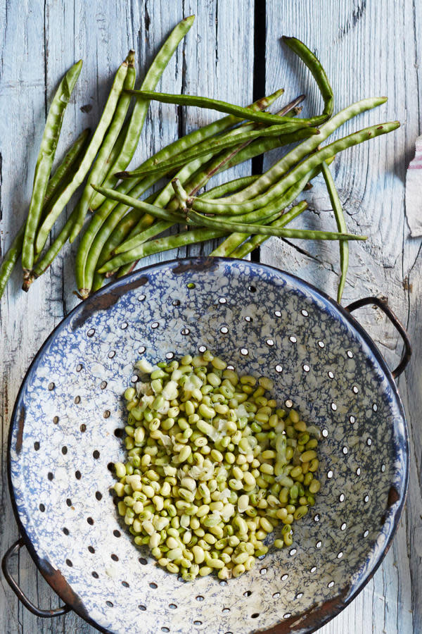 A Guide to the Different Types of Field Peas