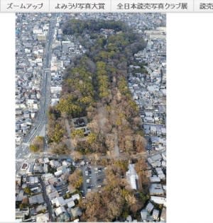 世界遺產下鴨神社出租土地籌款遷宮 新聞 Yahoo奇摩行動版