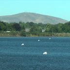 Pacific Northwest swelters under dangerous heat