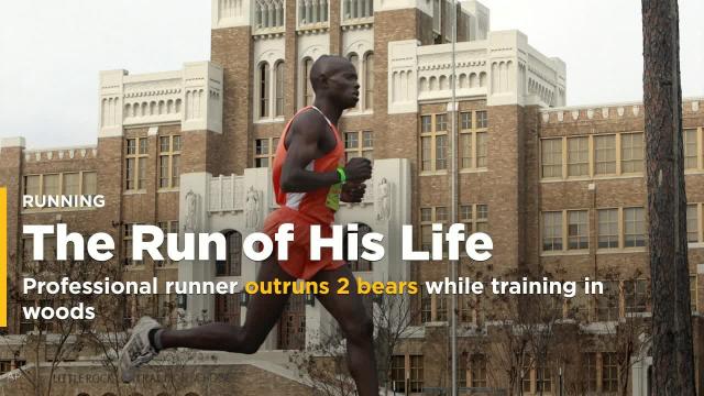 Professional runner outruns 2 bears while training in woods