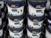 Akzo Nobel Net Profit Rises But Misses Expectations