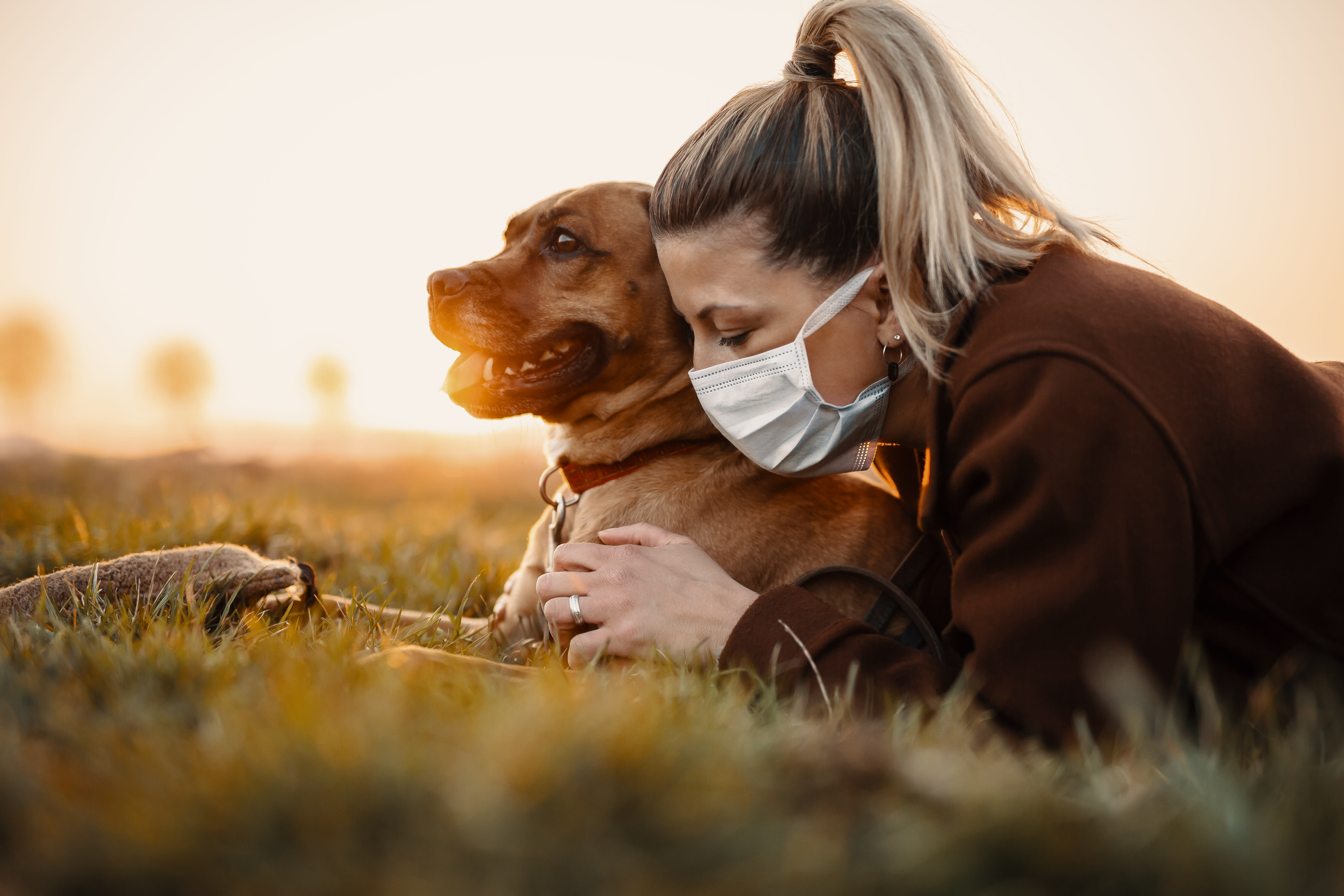 Pets 'helped people cope' during coronavirus lockdown