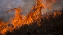 L'Ovest americano in preda agli incendi, Los Angeles assediata