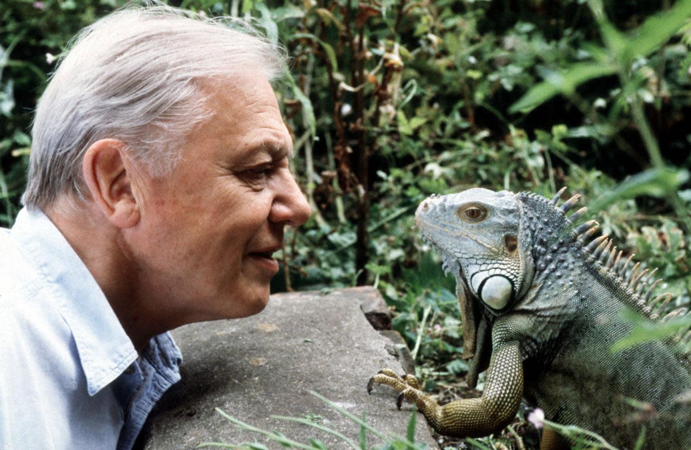 Sir David Attenborough: 15 of his best quotes on his 91st birthday