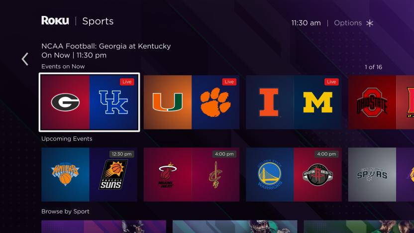 Roku sports experience