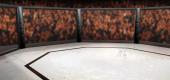 3D rendering of an octagon style cage fighting venue. (Getty)