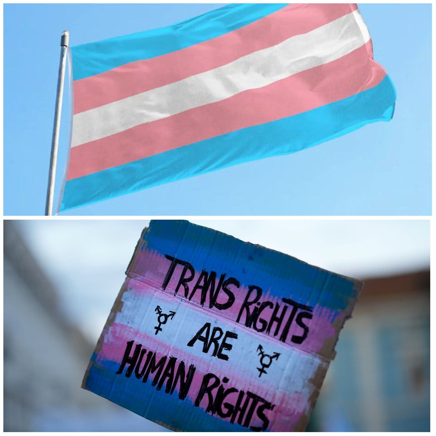 Transgender people seek name change privacy