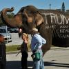 Trump. Un elefante nella cristalleria dei mercati